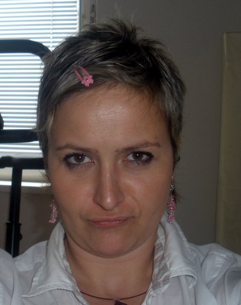 Model Image
