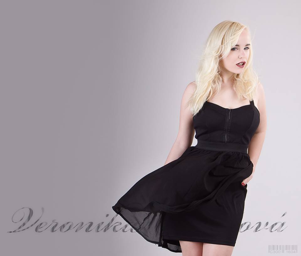 Model Image