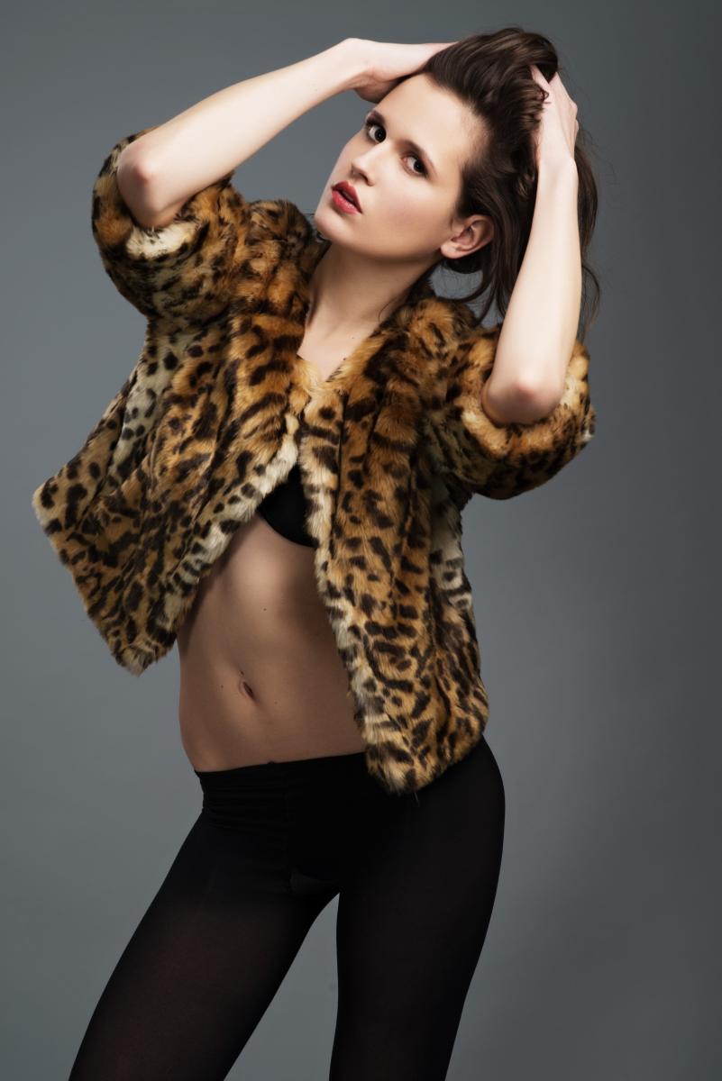 Model Image