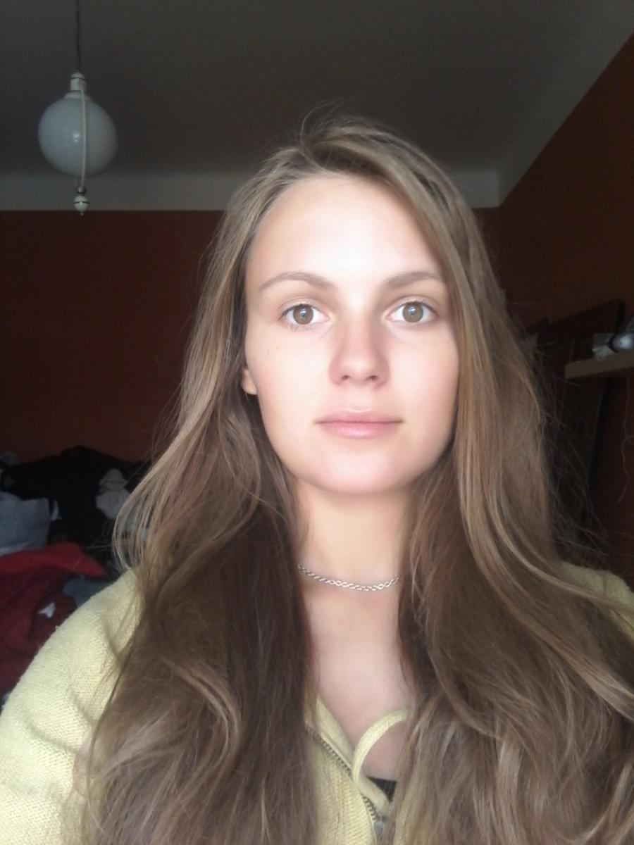 Model Image