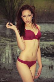 Model Image