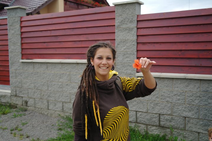 Model Image