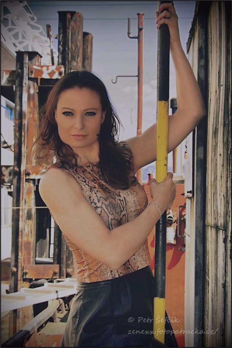 Model Image