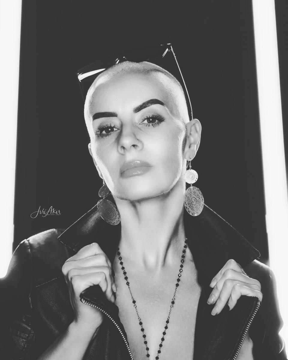 Model Image