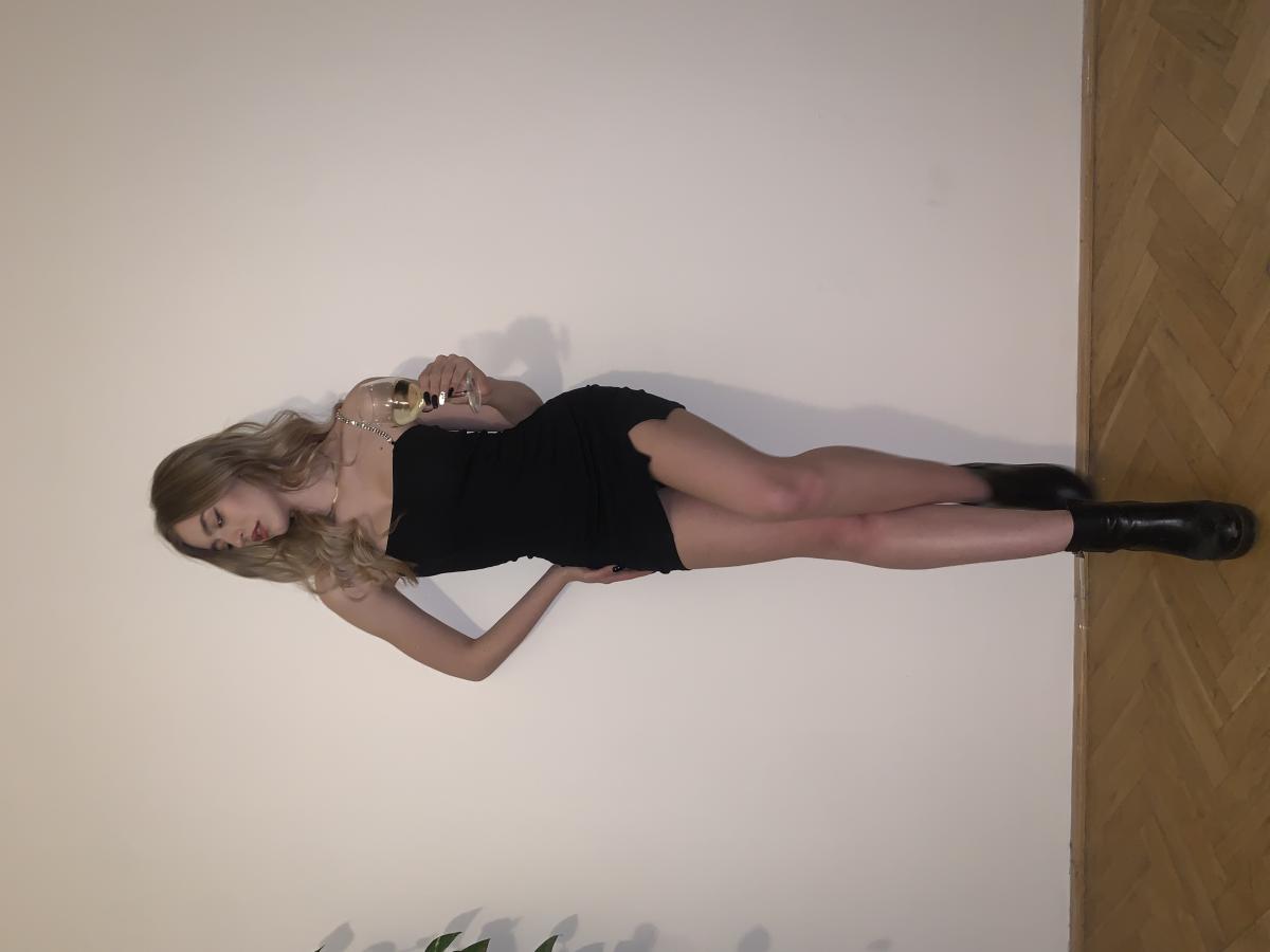 Model Image