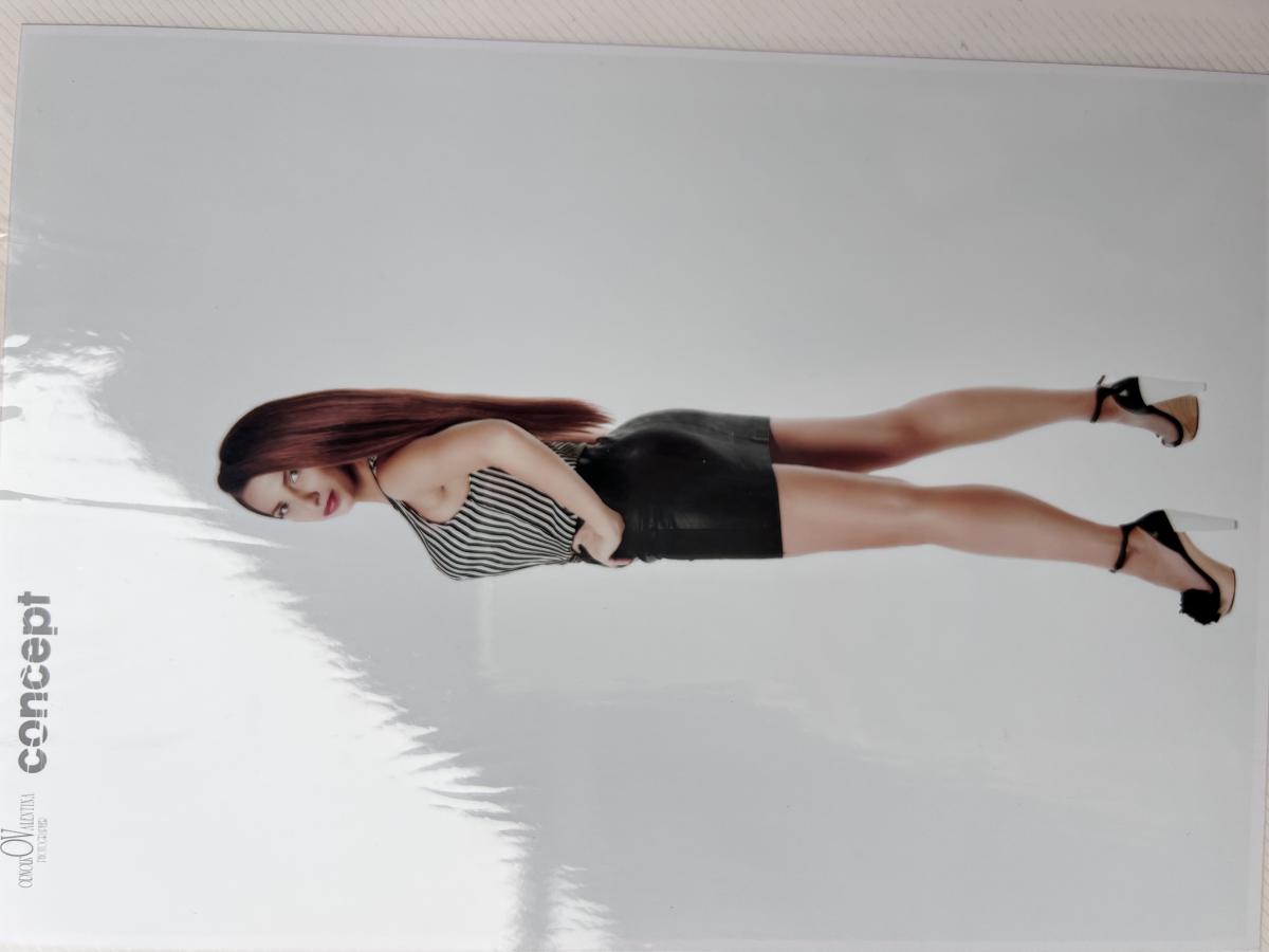 Model Image