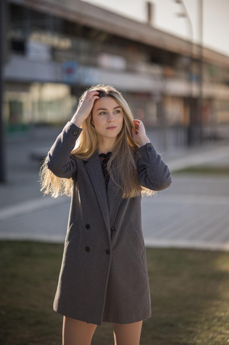 Model Image