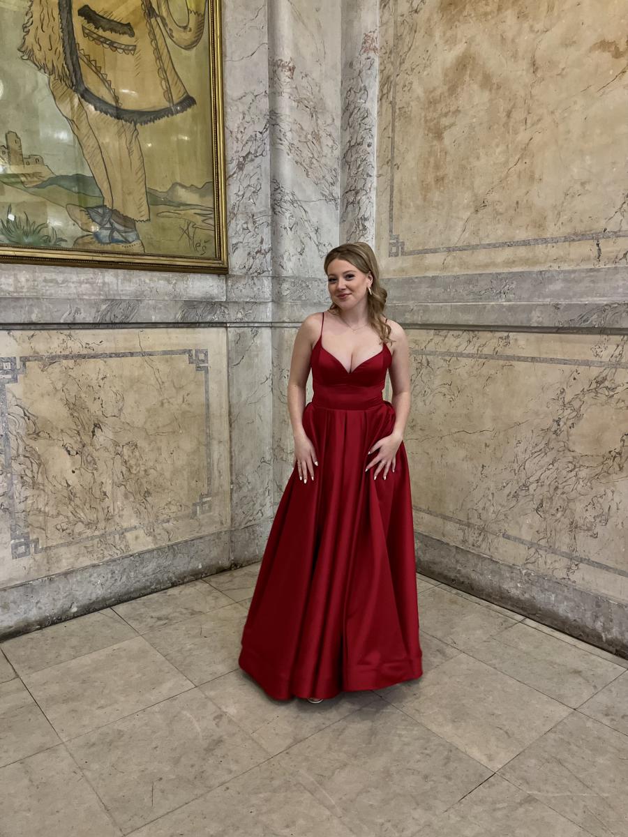 Model Image