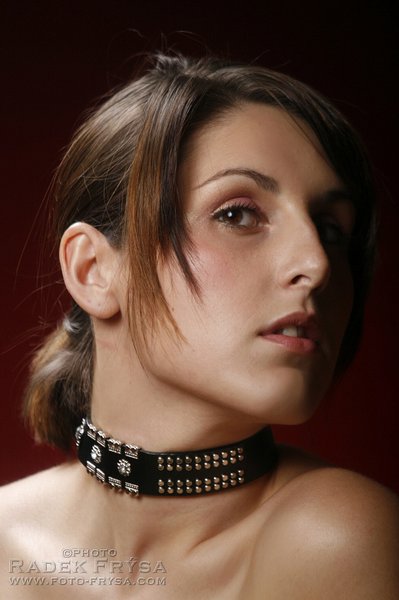 Model Image