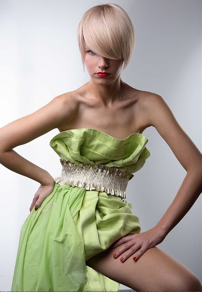 Model Image