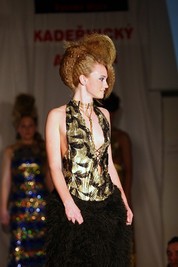 Model Image