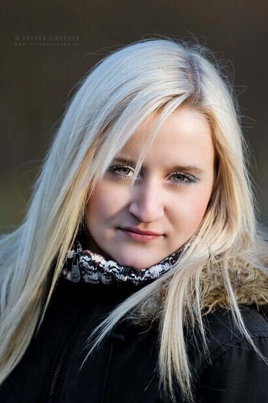 Model Image