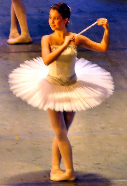 Model Image