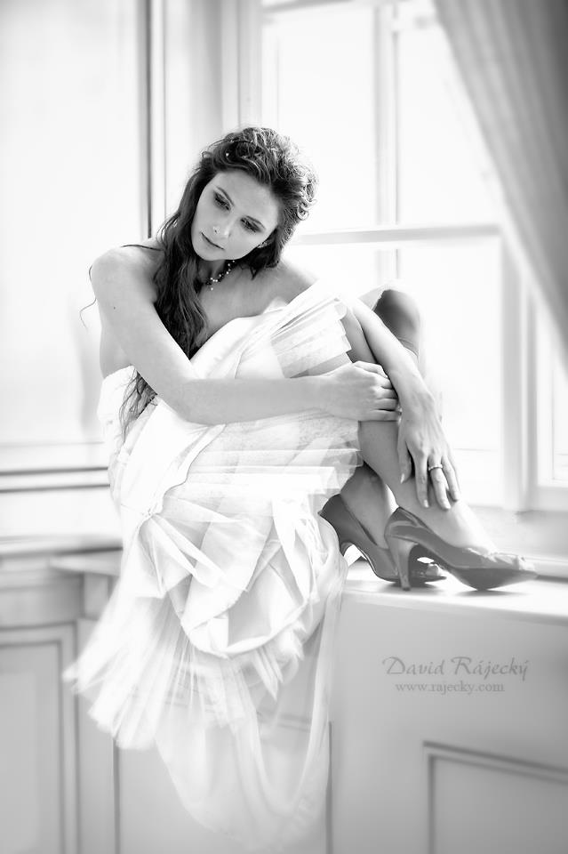 Model Image