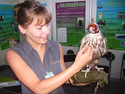 hosteska, Natura viva, Lysá nad Labem