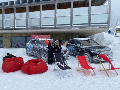 Zajistili jsme hostesky pro AUDI ledové sochy