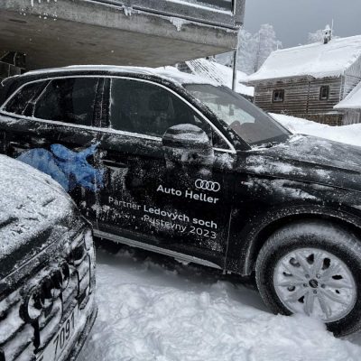 Zajistili jsme hostesky pro AUDI ledove sochy
